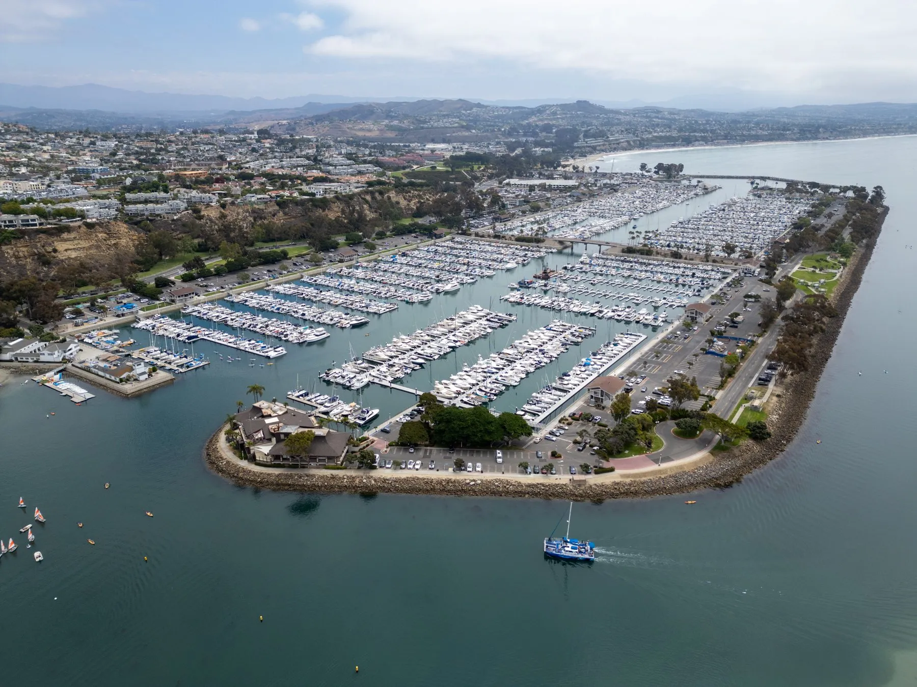 Dana Point Harbor: Dolphin & Whale Capital of the World – Speaker Luncheon with Bryon Ward, Burnham-Ward Properties